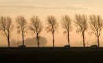 frits selier