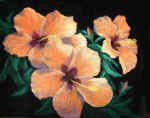 marcelle simard-dupuis